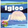 Igloo door Louise Spillsbury