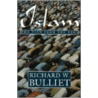 Islam door Richard W. Bulliet