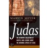 Judas door Marvin Meyer