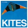 Kites door David Pelham