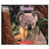 Koala door Edana Eckart