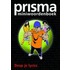 Prisma miniwoordenboek
