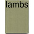 Lambs