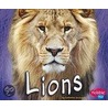 Lions by Catherine Ipcizade
