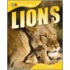 Lions