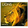Lions door Brian Bertram
