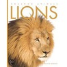 Lions by Valerie Bodden