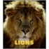 Lions