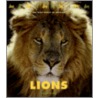 Lions by Aaron Frisch