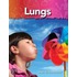 Lungs