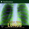 Lungs door Seymour Simon