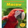 Macaw door Anita Ganeri