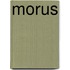 Morus