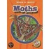 Moths