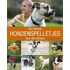 De leukste hondenspelletjes voor elk seizoen