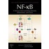 Nf-kb