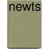 Newts