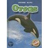 Orcas