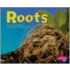Roots