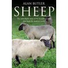 Sheep door Alan Butler