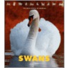 Swans door Mary King Hoff