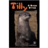 Tilly by Bonnie Highsmith Taylor