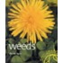 Weeds