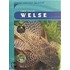 Welse