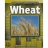 Wheat