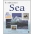 At Sea
