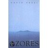 Azores door David Yezzi