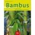 Bambus