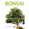 Bonsai door Susumu Nakamura