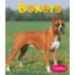 Boxers