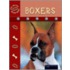 Boxers
