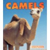 Camels door Kathryn Stevens