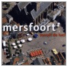 Amersfoort vanuit de lucht door C. van den Braber
