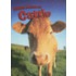 Cattle