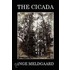 Cicada