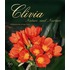 Clivia