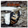 Cobras by Julie Fiedler