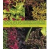 Coleus by Ray Rogers