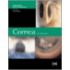 Cornea