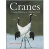 Cranes door Janice Hughes