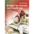 Bridgen op internet met StepBridge