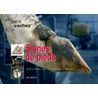 Signes de pieds door Jan Hulsen