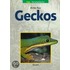 Geckos