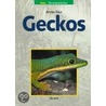 Geckos door Astrid Falk