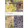 Grapes by Ray Waite