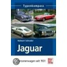 Jaguar door Halwart Schrader